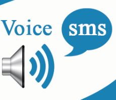 Voice Calls service in lucknow